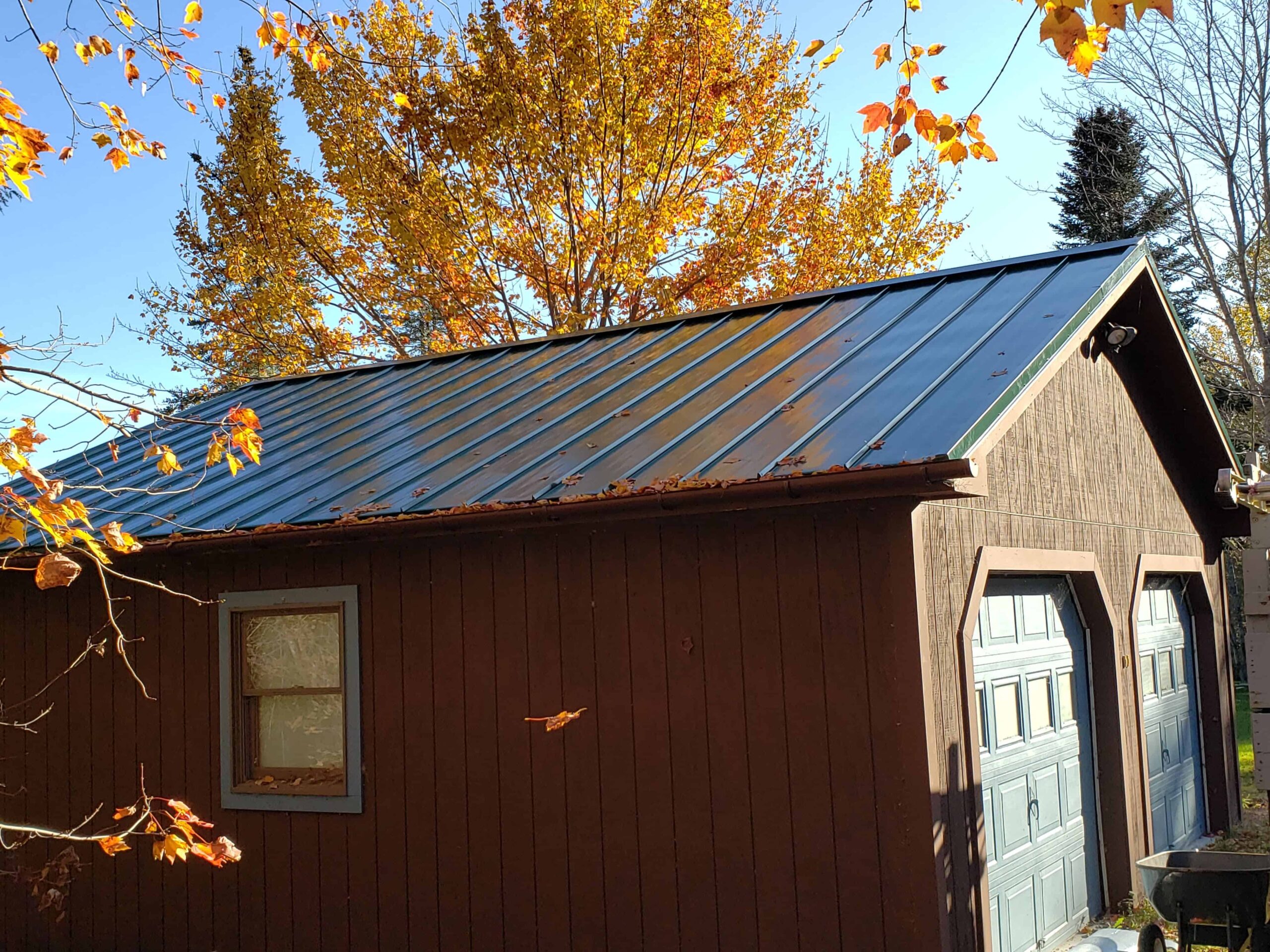 Garage with blue metal roof, brown siding, partially covered in leaves. Windows on the side, with a yellow-leaved tree behind.