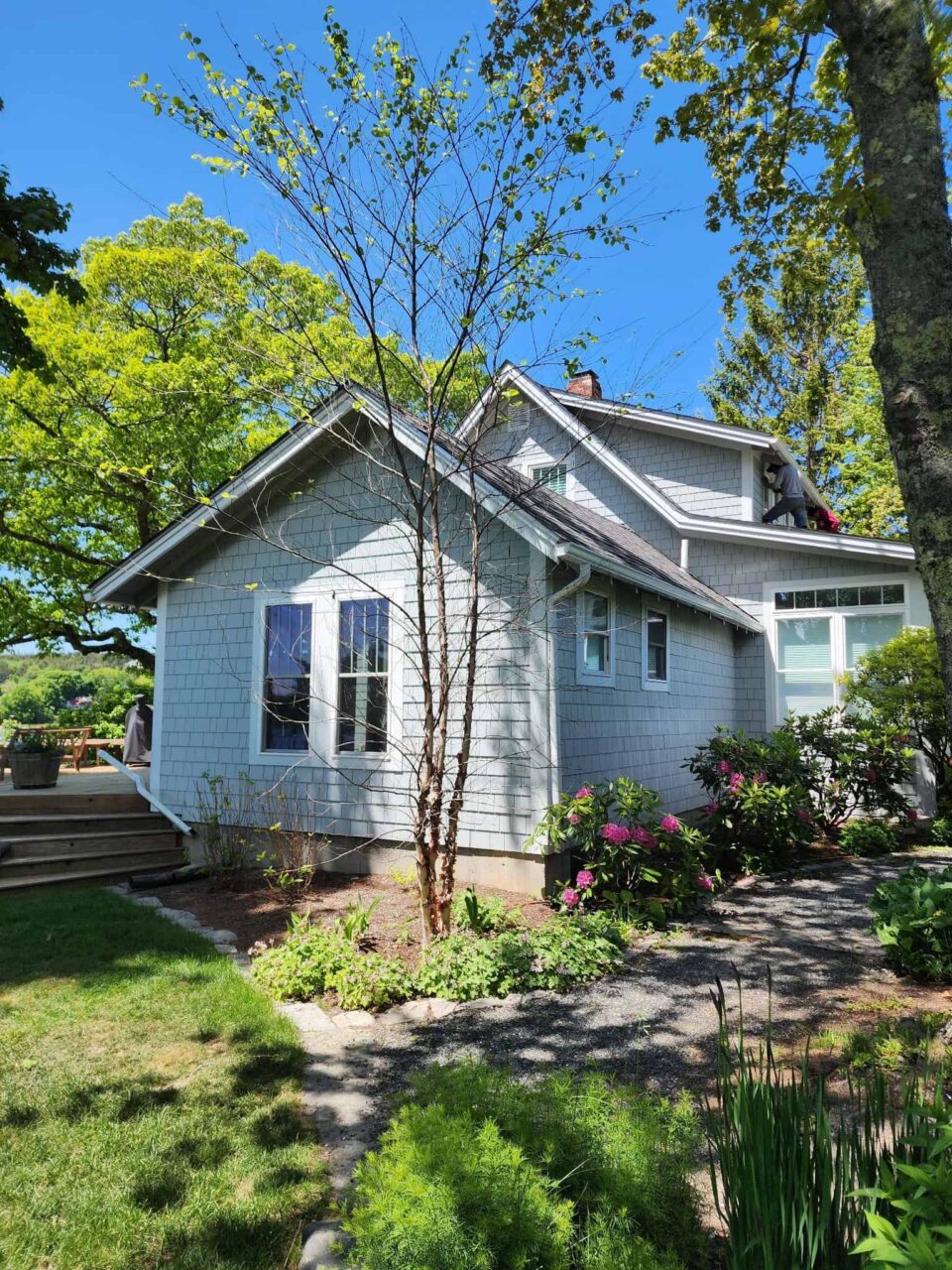 Light blue home with hardy board siding, white trim, a pathway surrounded by greenery.