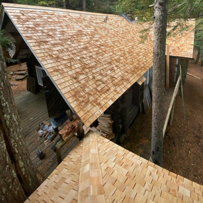 Brown roof with tree. Brown roof with tree.