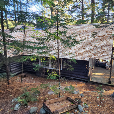 Log cabin with trees. Log cabin with trees.