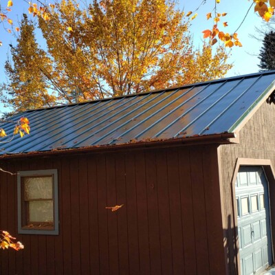 Garage with blue metal roof, brown siding, partially covered in leaves. Windows on the side, with a yellow-leaved tree behind.